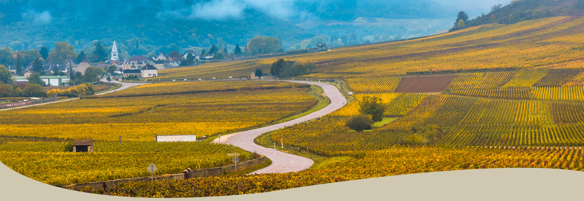 Domaine Dujardin Wines 杜雅丹酒莊·查斯尼酒莊