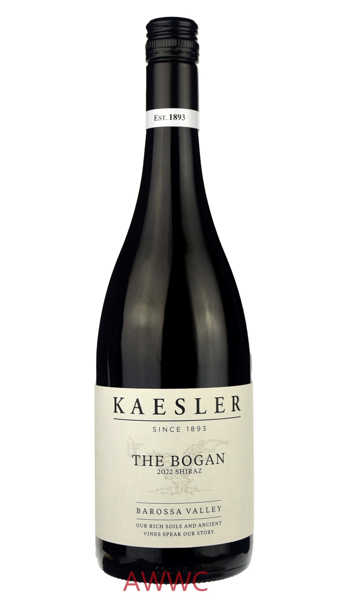 克思樂 The Bogan  設拉子2021/22