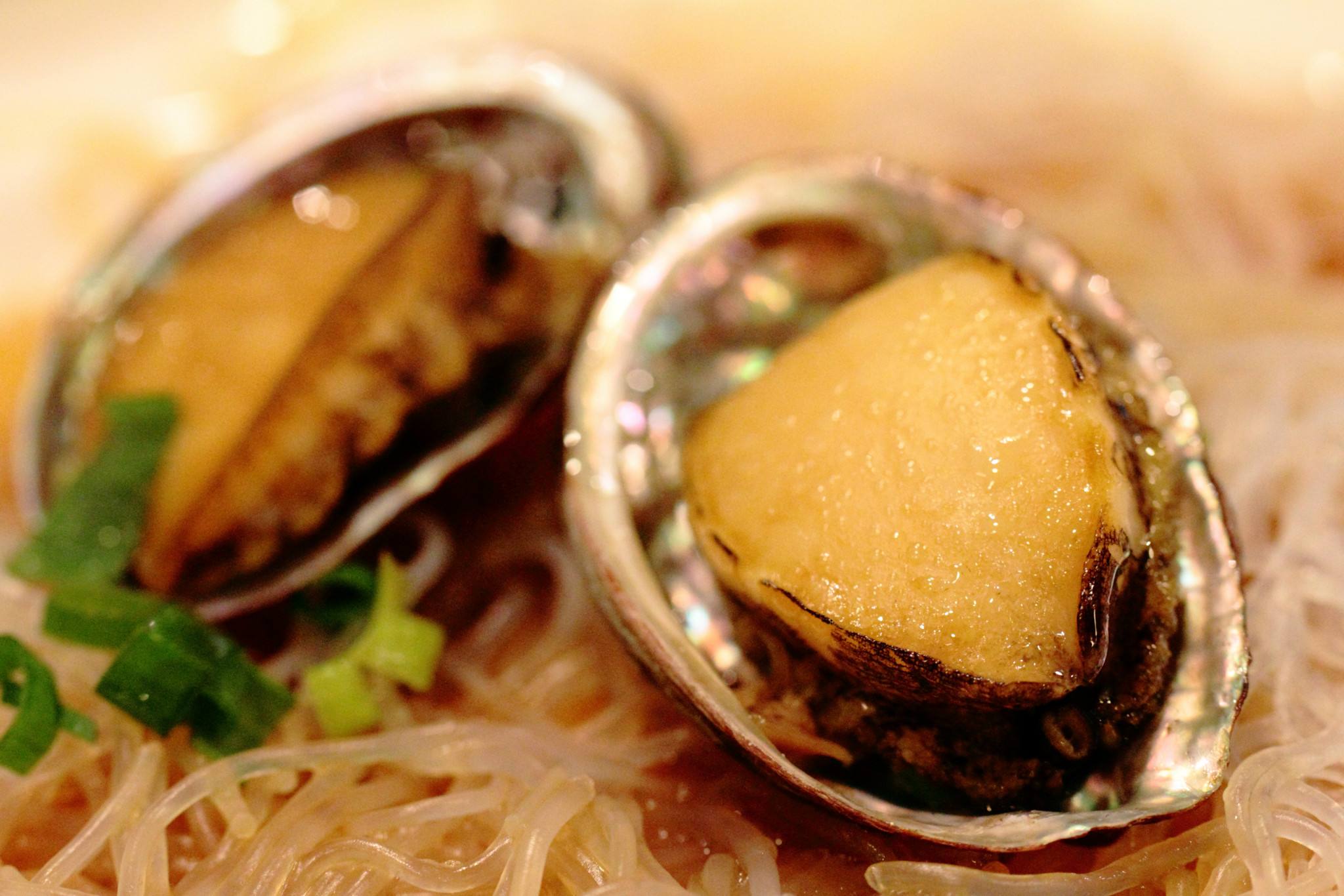 清蒸鮑魚 Steamed abalone